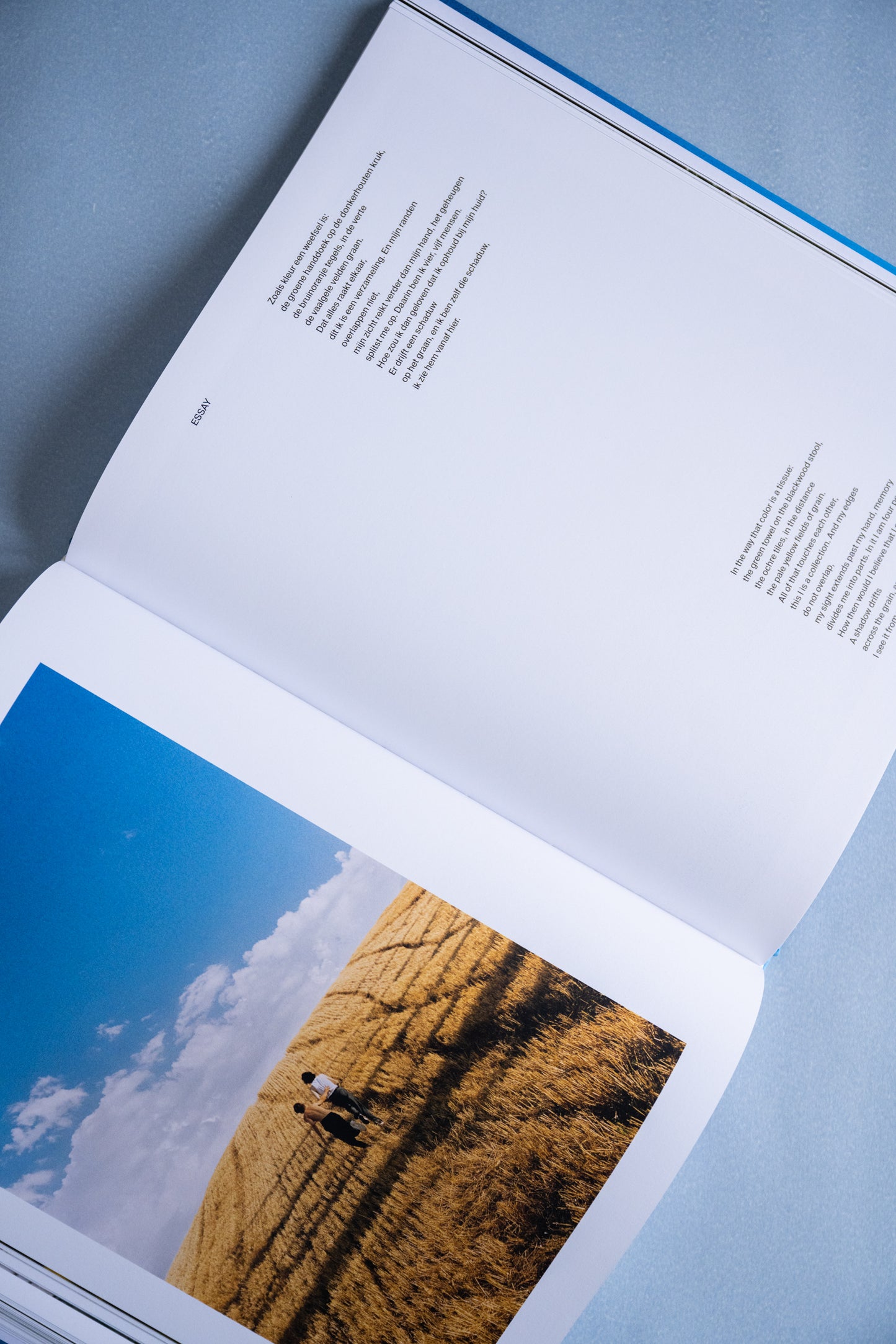 What Once Was - Art Edition