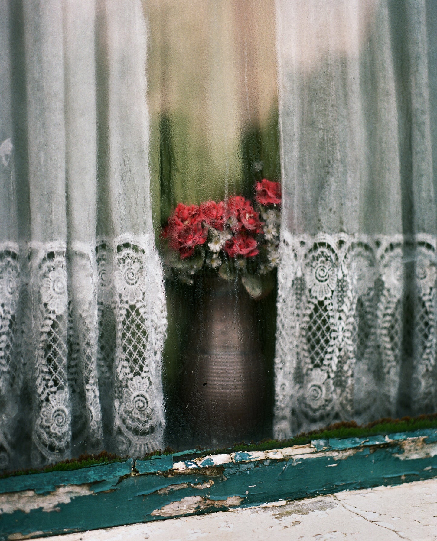 Ommelanden - Art Edition 20 x 25