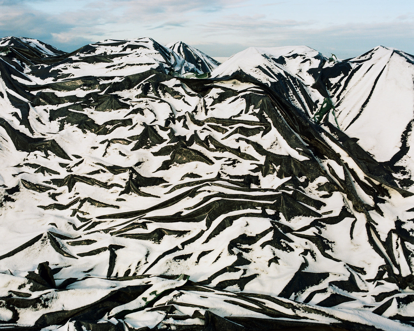 Ommelanden - Art Edition 33 x 58